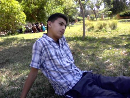 walid
